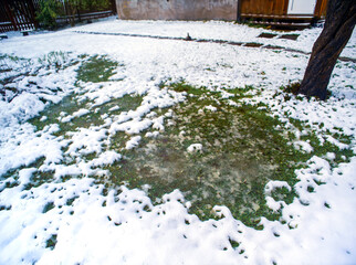 frozen grass under melting snow
