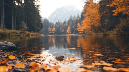 Serene Autumn River Winding Through Colorful Trees