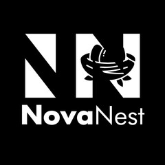 Modern Tech-Inspired Logo Design for "NovaNest" with Stylized Nest Icon