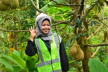 Young Asian woman farmer checking industrial scale durian plantation © Ayudia