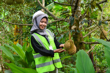 Young Asian woman farmer checking industrial scale durian plantation © Ayudia