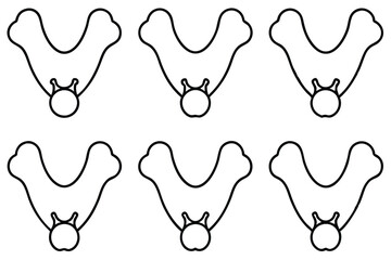 Clavicle Anatomy Detailed Line art