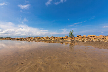 A lone tree finds footing on a rocky shoreline