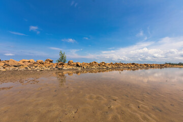 A lone tree finds footing on a rocky shoreline