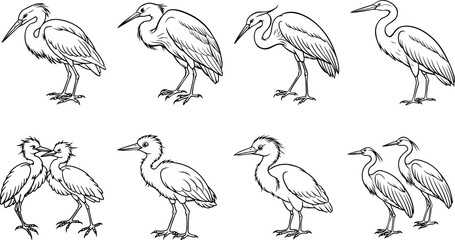 Set of egret outline vector illustration, line art