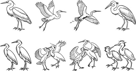 Set of egret outline vector illustration, line art