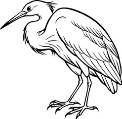egret outline vector illustration, line art