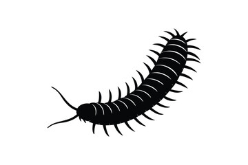 Obraz premium Millipede icon silhouette on white background