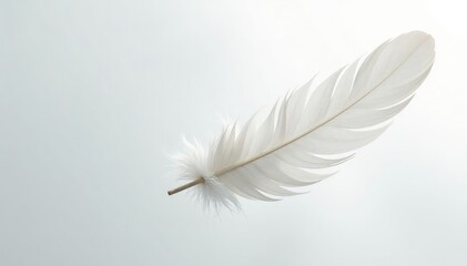 Obraz premium Swirling white feathers, floating gently on stark white , calm, object