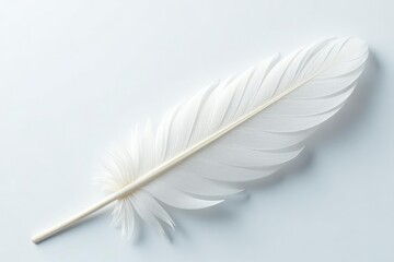 Obraz premium Elegant white swan feather against pure white backdrop, background, peaceful, purity