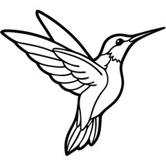 Hummingbird Bird Illustration Vector Graphic Design Nature Wildlife Artwork