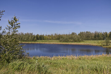 Pylypow Wetlands in the Summer