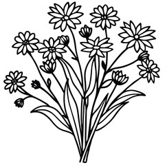 Bunch of Blooming Chamomile Flowers with Leaves in Black and White