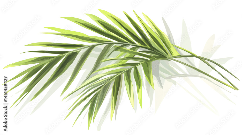 Poster vibrant palm fronds with artistic stylized shadows on a transparent canvas, creating a light, airy f