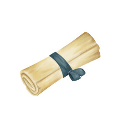 Old scroll paper with ribbon illustration. Graduation element for banner design. Rolled parchment design aesthetic antique. Letter design aesthetic antique. Drawing realistic illustration