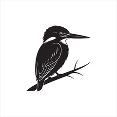 Fototapeta premium Kingfisher Bird Silhouette Clipart, Black Kingfisher Outline on White Background