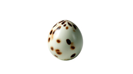 Obraz premium Spotted Egg: A single speckled egg rests on a plain background, showcasing its unique and captivating texture. The delicate markings on the shell evoke a sense of wonder and fragility.