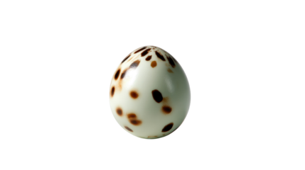 Spotted Egg: A single speckled egg rests on a plain background, showcasing its unique and captivating texture. The delicate markings on the shell evoke a sense of wonder and fragility.