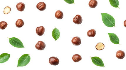 Falling Hazelnuts and Green Leaves on Transparent Background, PNG