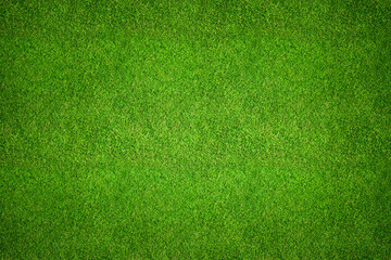 Grass background top view - aerial image of freshly cut, healthy, green grass field as a backdrop...