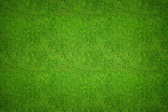 Grass background top view - aerial image of freshly cut, healthy, green grass field as a backdrop texture.