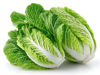 Obraz premium Two fresh heads of crisp green Napa cabbage are perfectly arranged on a bright white background showcasing their vibrant color and texture.