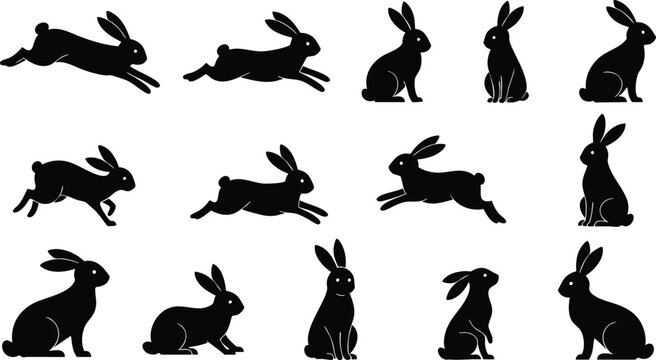 Rabbit Silhouettes Editable Vector isolated on transparent background. Bunny vector set png. Customizable animal graphics.