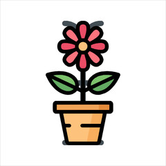 flower in pot