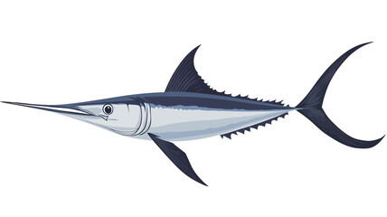 Fototapeta premium This digital illustration shows an Atlantic sailfish (Istiophorus albicans) in profile, set against a white background. The fish's streamlined body is carefully depicted.