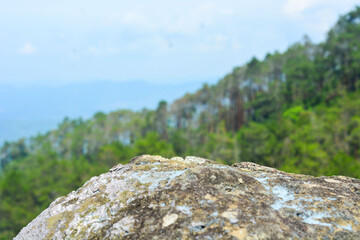 A view photo of a small flat stone podium on a stone platform, with lush green leaves and a calm blue horizon behind it, bathed in soft natural light, suitable for product display