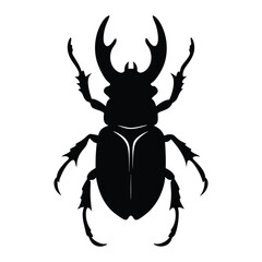 stag beetle vector illustration