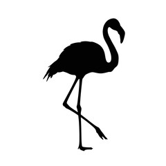 Flamingo silhouette standing gracefully on white background  