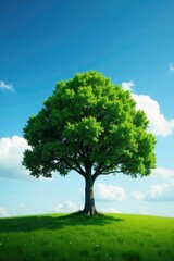 Fototapeta premium A single tree with a few wispy clouds in the background, natural, mood, solo