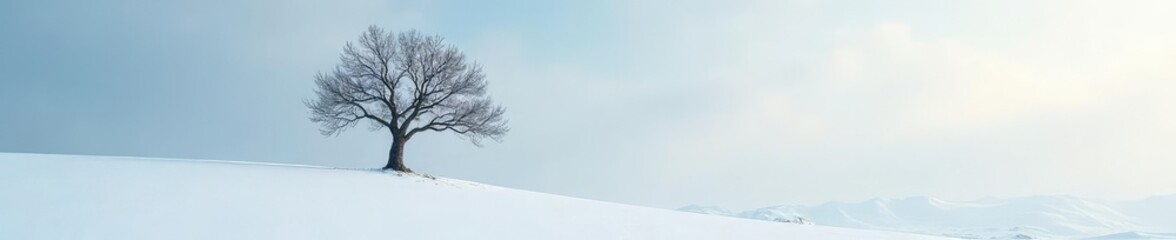 Fototapeta premium A solitary tree branch stretching out on a snowy plain, bare, tree branch