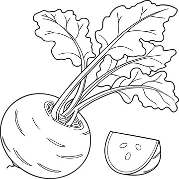 hand drawn vector illustration of an oll tree