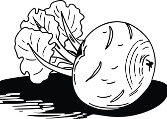 vector illustration of a snail