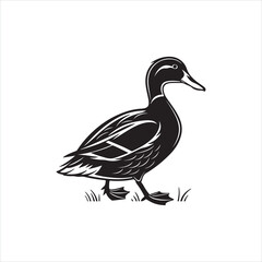 Duck Silhouette Clipart, Black Duck Outline on White Background