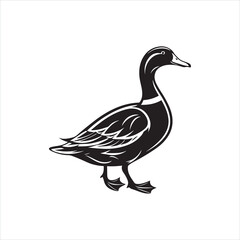 Duck Silhouette Clipart, Black Duck Outline on White Background