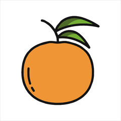 vector illustration of an orange fruit