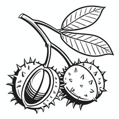 vector illustration of fruits