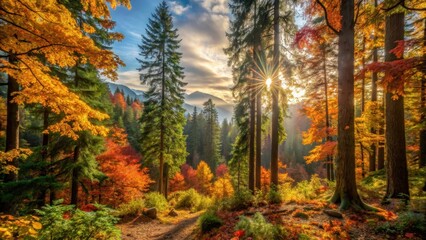 Muted earth tones dominate as autumn leaves burst with vibrant hues amidst sunlit forest glades on Bowen Island in British Columbia Canada, natural beauty, forest landscape