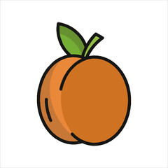 vector illustration of an orange