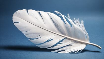 White feather on a blue background.