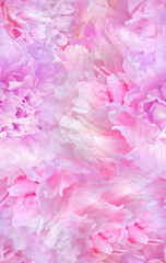 Seamless floral  background. Flowers and  petals. Close up.
