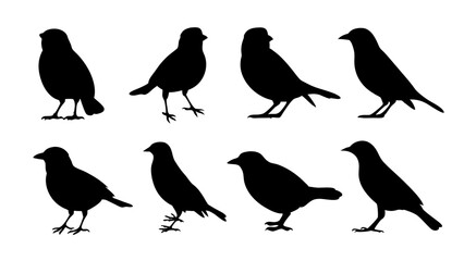 set of black bird silhouette vector on white background