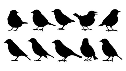 set of black bird silhouette vector on white background