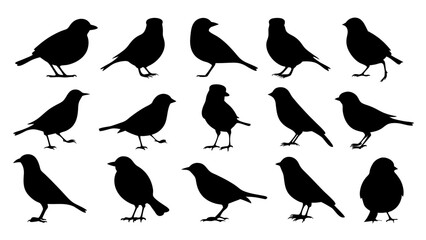set of black bird silhouette vector on white background