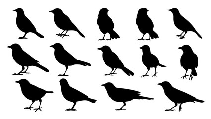 Fototapeta premium set of black bird silhouette vector on white background