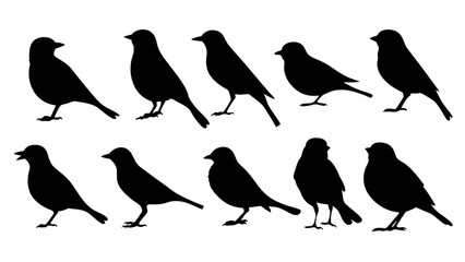 set of black bird silhouette vector on white background