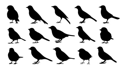 set of black bird silhouette vector on white background